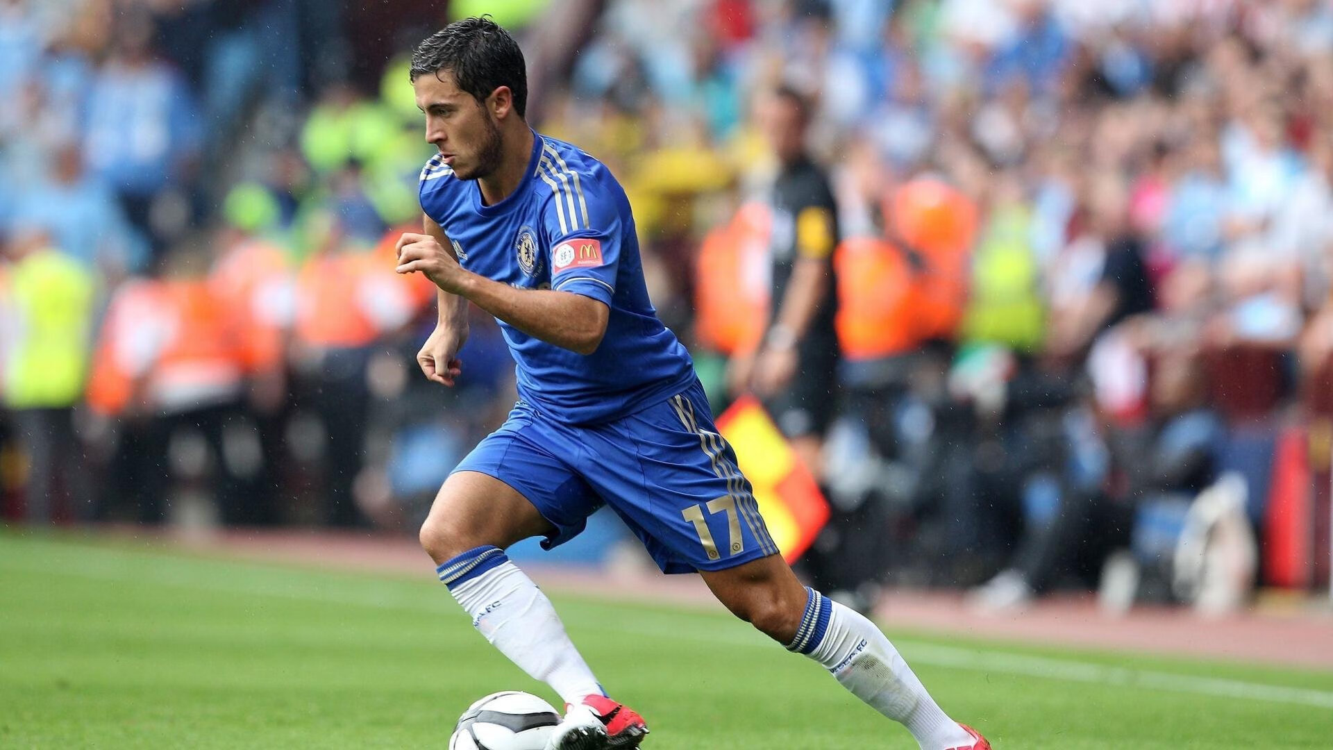 美国马术协会授予斯蒂芬·彼得斯“年度最佳教练员”称号。，美国马术金牌