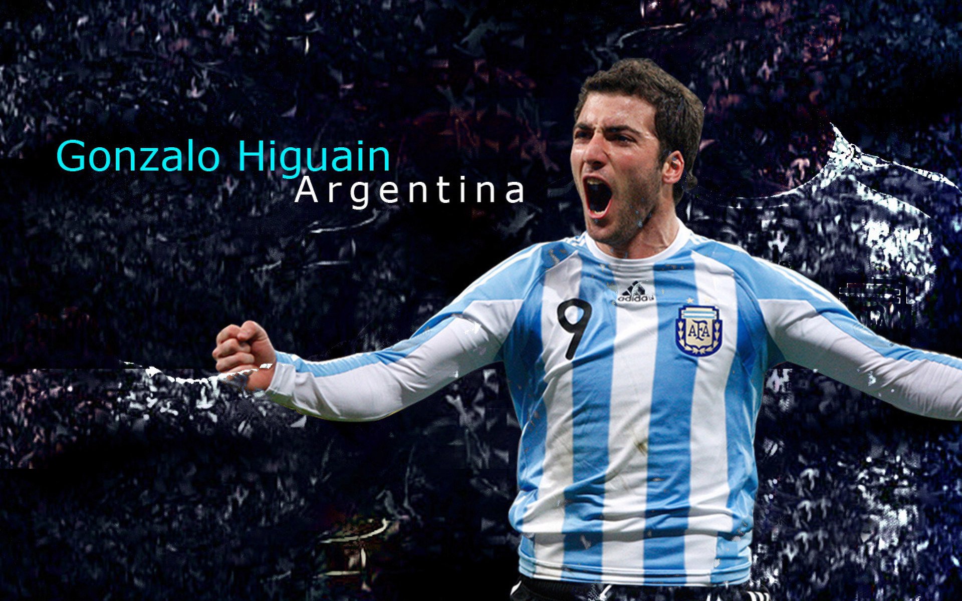 联盟新崛起：本季最令人关注的黑马队伍，联盟新崛起_本季最令人关注的黑马队伍是谁